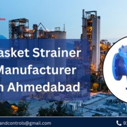 basket strainer manufacturer In Ahmedabad