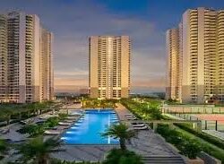 Property in Sector 81 Gurgaon