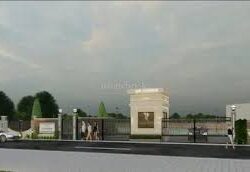 Residential Plots in Sector 95 Gurgaon